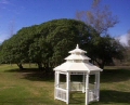 gazebo23.jpg