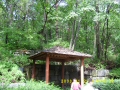 gazebo80.JPG